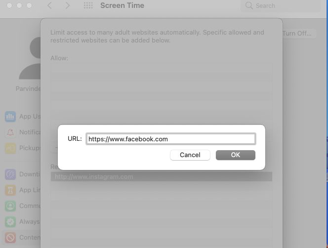 enter website address to block on mac safari chrome firefox browser