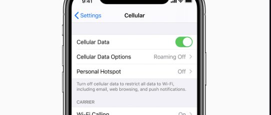 Check your Cellular Connection on iphone to start LTE data