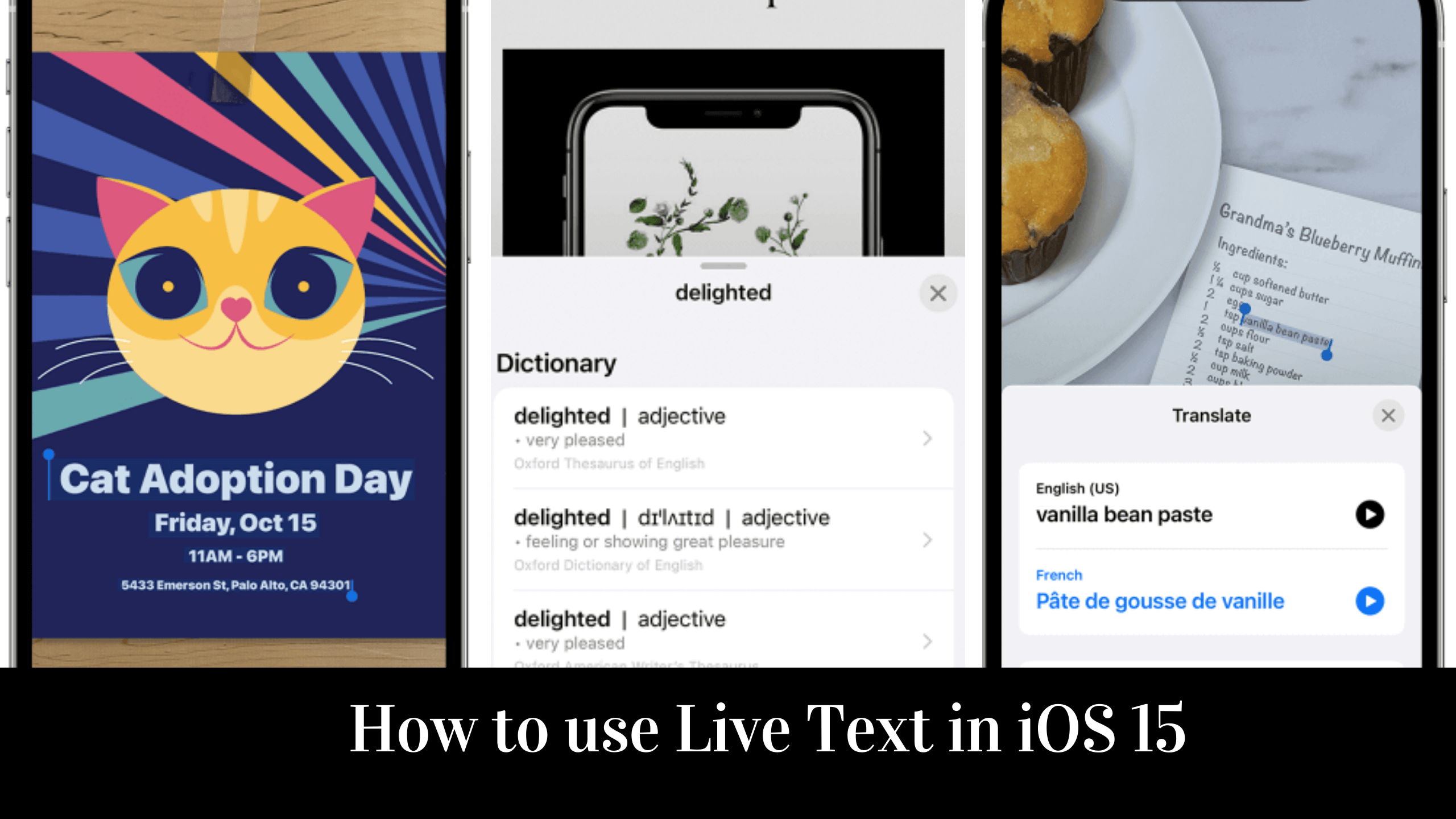 How to use Live Text in iOS 15 iPhone and iPad