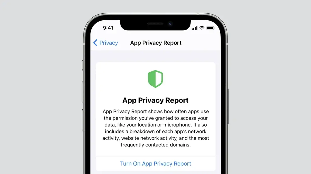 Review App privacy Policy