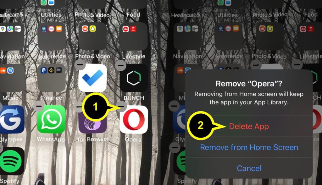 Delete iphone 14 app homescreen